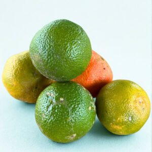 Limón Mandarino Libra