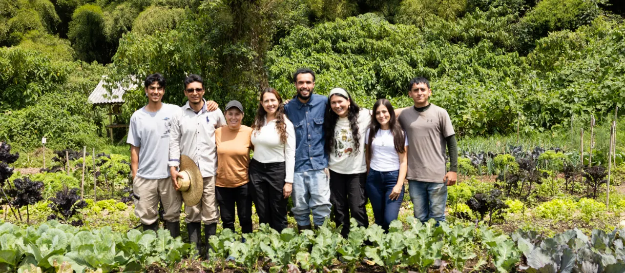Equipo completo de Oro-Máticas