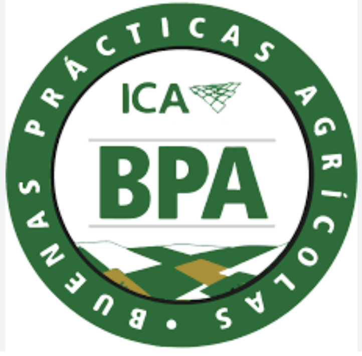 Certificación 1